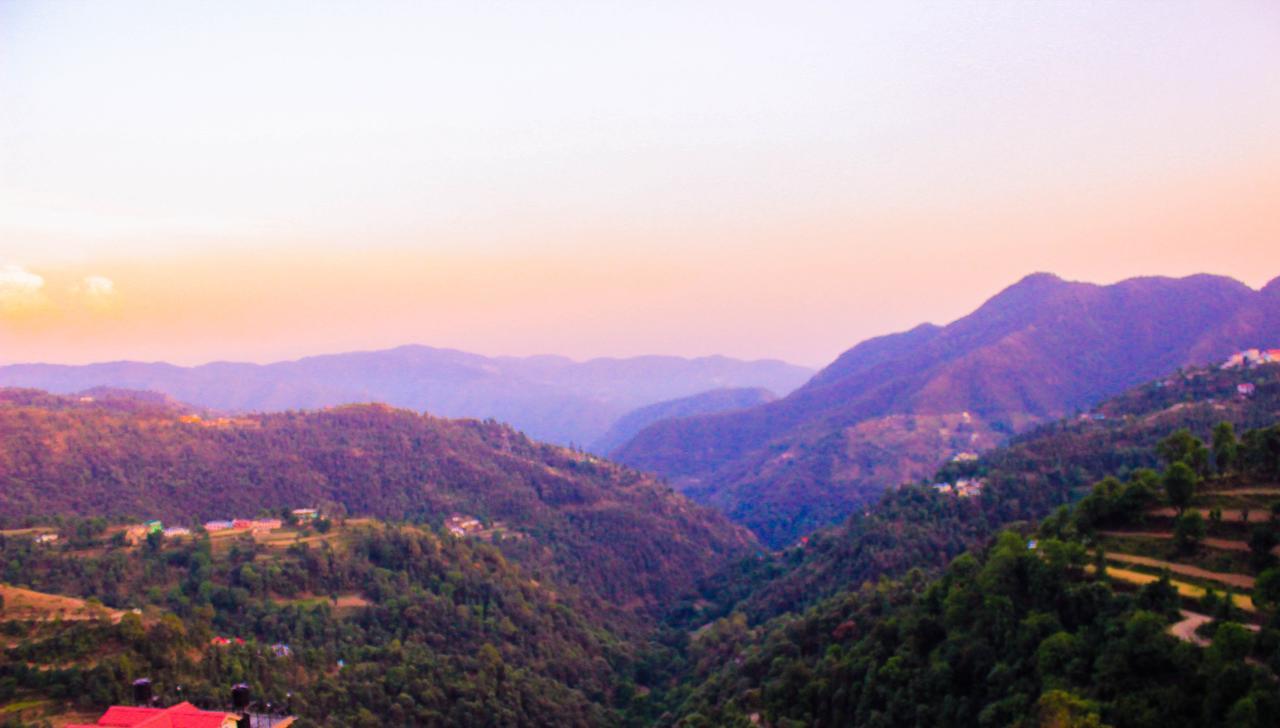 Jade Vine Resort Shimla Extérieur photo
